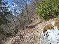 20250309_111248.jpg