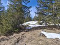 20250309_115801.jpg