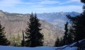 20250309_120729.jpg