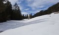 20250309_130910.jpg