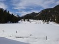 20250309_131210.jpg