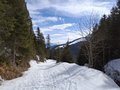 20250309_131417.jpg