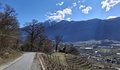 20250318_105103.jpg