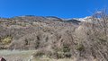 20250318_105108.jpg