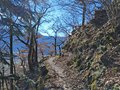 20250318_105512.jpg
