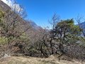 20250318_114015.jpg