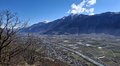 20250318_114047.jpg
