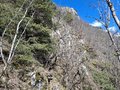 20250318_115558.jpg