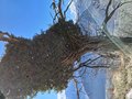 20250318_120452.jpg