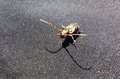 20250318_133334.jpg