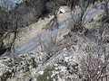 20250318_134454.jpg
