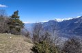 20250318_135500.jpg