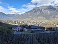 20250402_110253.jpg