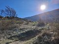 20250402_112006.jpg