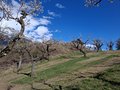 20250402_115001.jpg