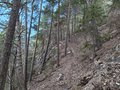 20250402_122931.jpg