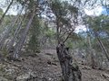 20250402_122934.jpg