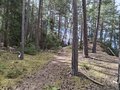 20250402_130859.jpg