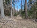 20250402_132754.jpg