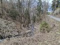20250402_134917.jpg
