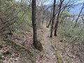 20250402_144805.jpg