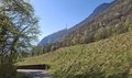 20250408_095628.jpg