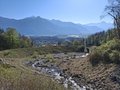 20250408_095837.jpg