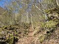 20250408_100150.jpg
