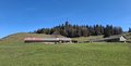 20250408_105431.jpg