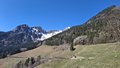 20250408_105440.jpg