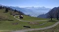 20250408_112218.jpg