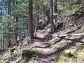 20250408_113744.jpg
