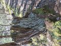 20250408_114316.jpg
