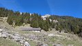20250408_121258.jpg