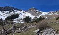 20250408_121301.jpg