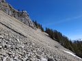 20250408_124307.jpg
