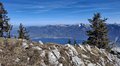 20250408_133946.jpg