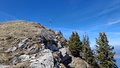 20250408_133955.jpg