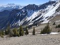 20250408_134515.jpg