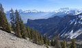 20250408_134520.jpg