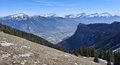 20250408_135514.jpg