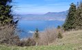 20250408_145909.jpg