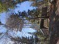 20250408_151602.jpg