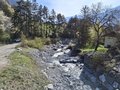 20250410_105204.jpg