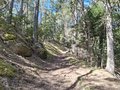 20250410_111719.jpg