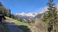 20250410_113405.jpg