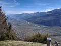 20250410_125743.jpg