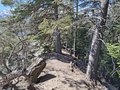 20250410_142555.jpg