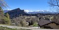 20250410_160101.jpg