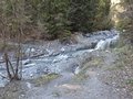 20250410_172412.jpg